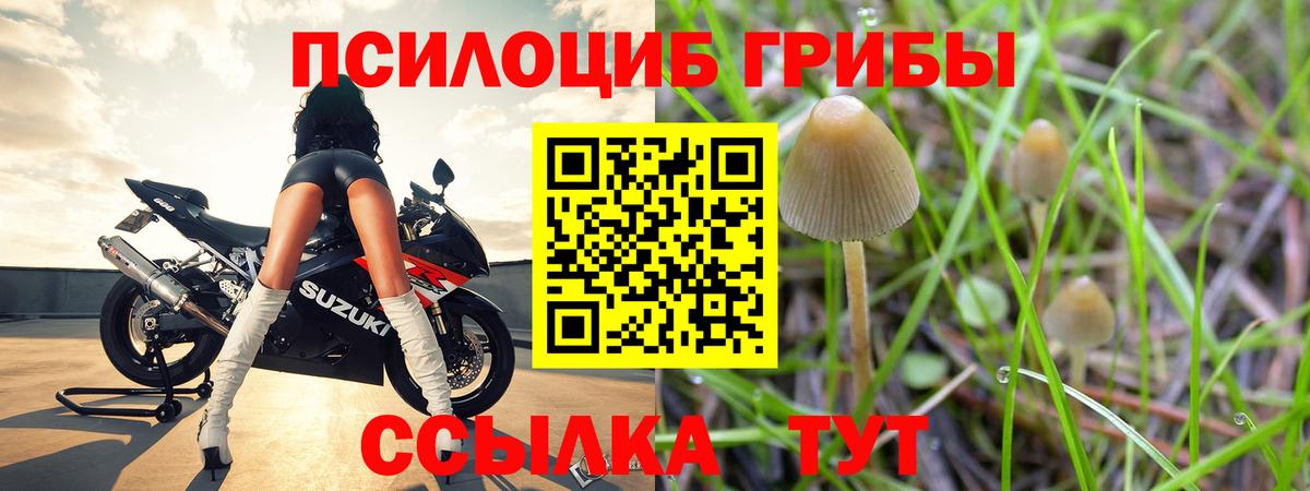 Псилоцибиновые грибы ЛСД Чернушка